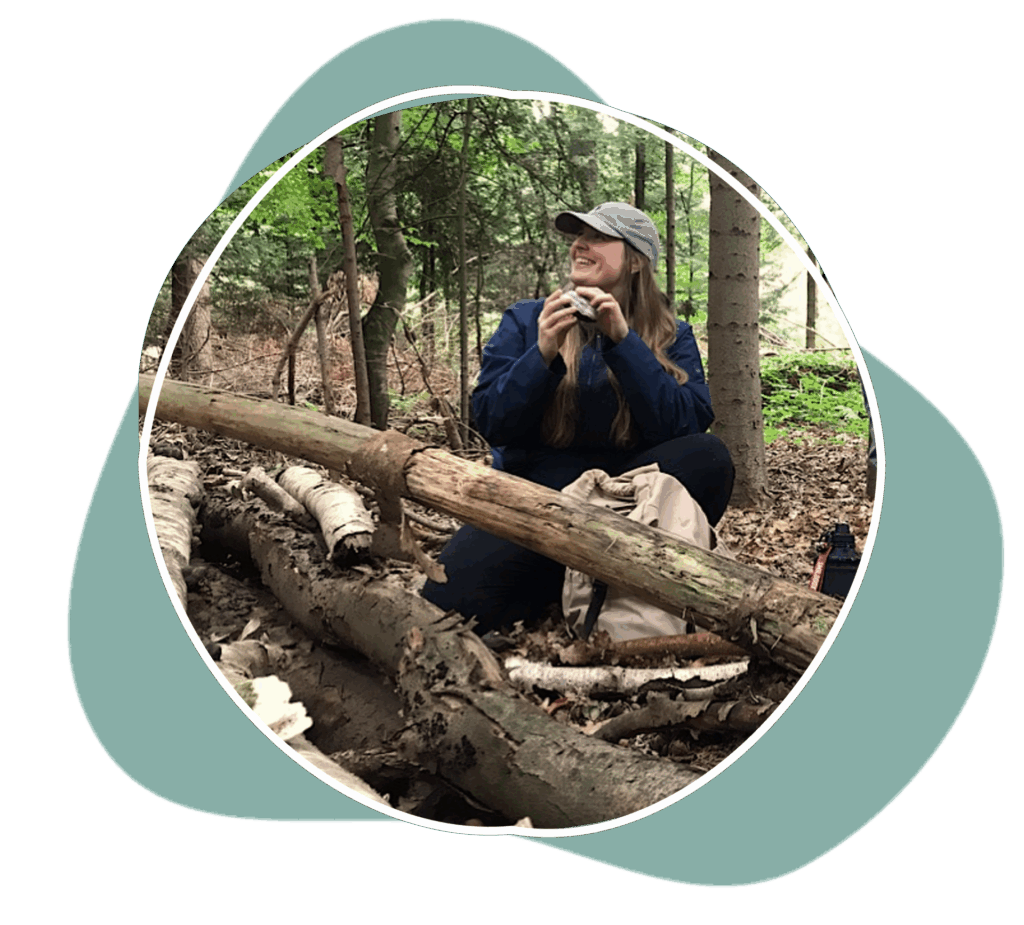 Waldwanderung, Pilzwanderungen Raum Oldenburg